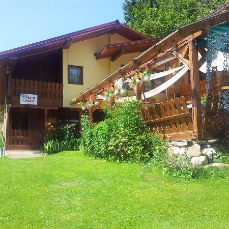 Cabana Suprema Armonie Dîmbovicioara Екстериор снимка