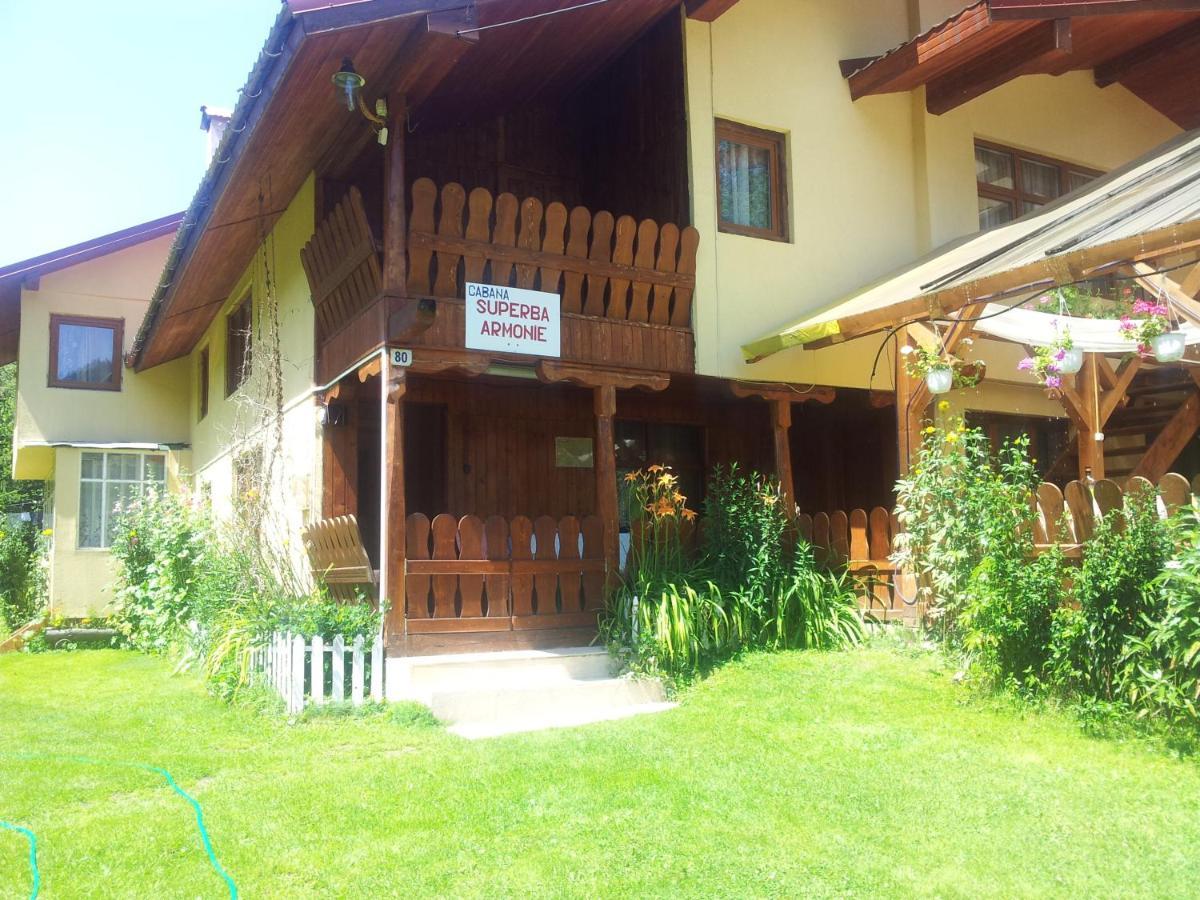 Cabana Suprema Armonie Dîmbovicioara Екстериор снимка